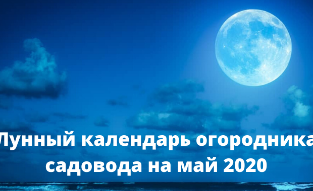 Посевной календарь на май 2020 года - «Сад и огород»