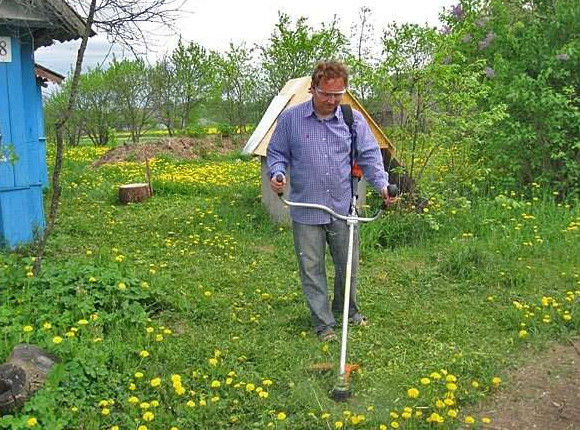 Как бороться с одуванчиками на садовом участке? - «Сад и огород»