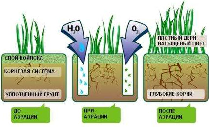 Аэратор для газона своими руками - «Сад и огород»